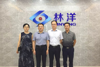 打造更加智慧高效的能源服務(wù),安徽林洋新能源科技成立智慧能源事業(yè)部