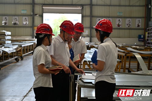 岳陽 黨建引領聚合力 迸發組織新動力